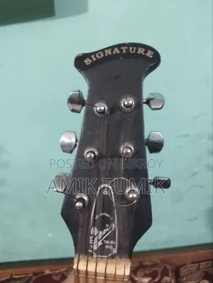 Signature Guitar