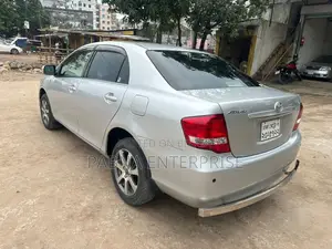 Toyota Axio 2011 Silver