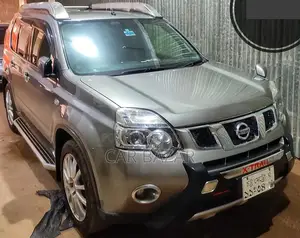 Nissan X-Trail 2.0 Petrol XE 2012 Gray