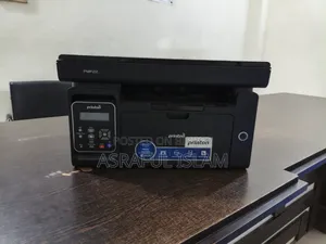 Walton Pmf22