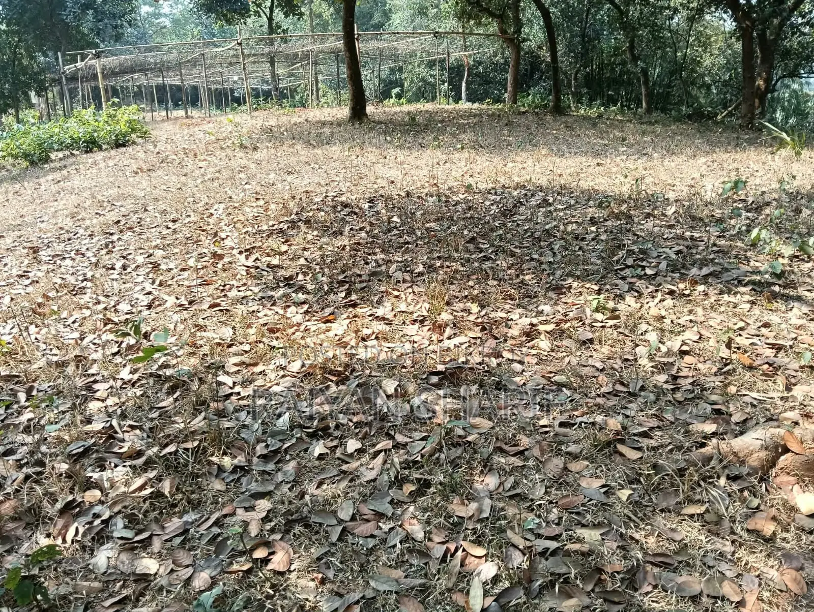 Purbachal Marin City Land