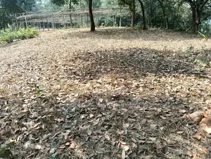 Purbachal Marin City Land