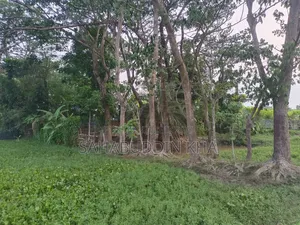 2 Katha Land for Sale