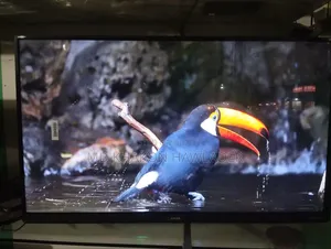 Singer 43-inch Android Smart LED TV for Sale