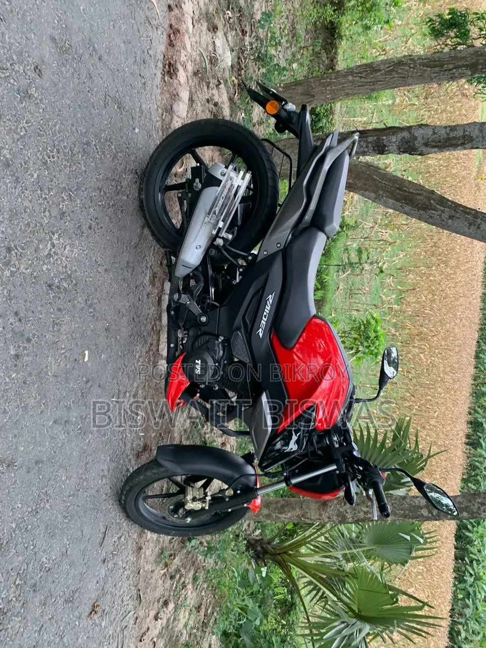 TVS Raider 125 2022 Red