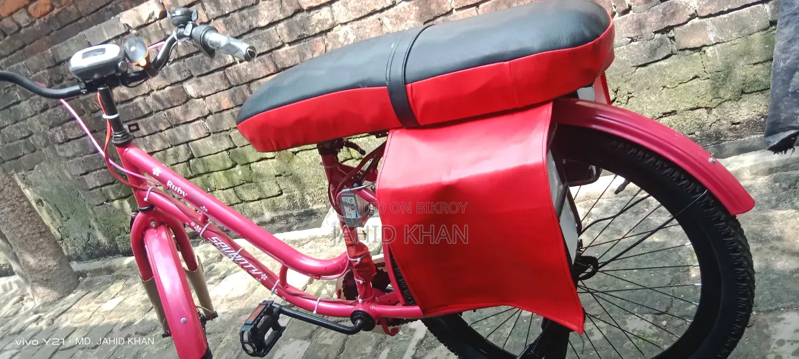 Electric Bicycle