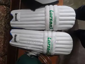 New Cricket Set