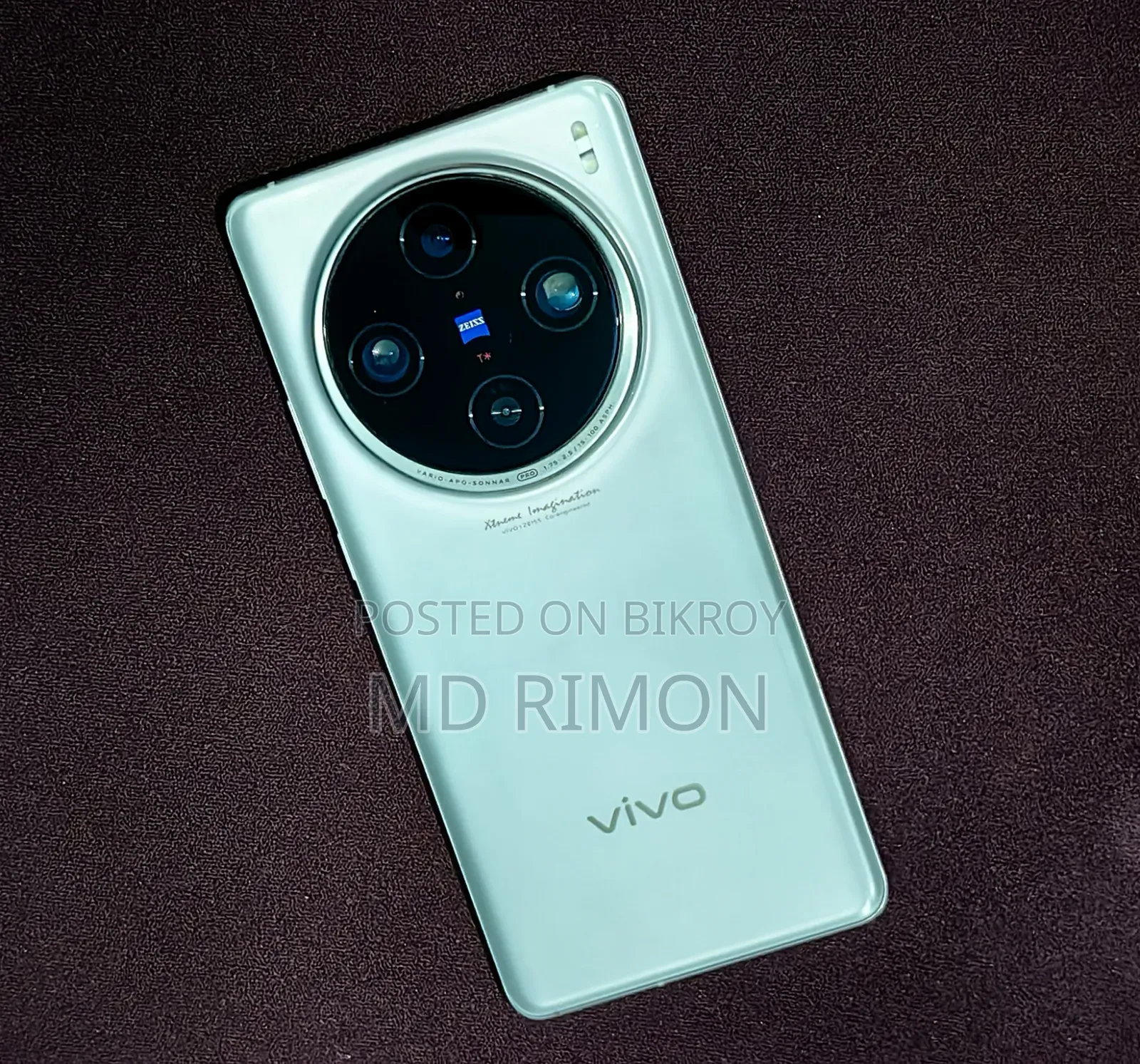 Vivo X100 Pro 1 TB Silver