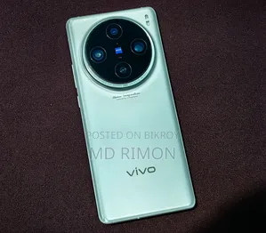 Vivo X100 Pro 1 TB Silver