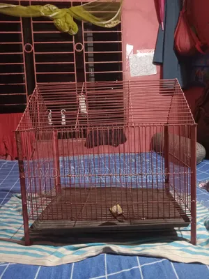 খাঁচা বিক্রয় করা হবে