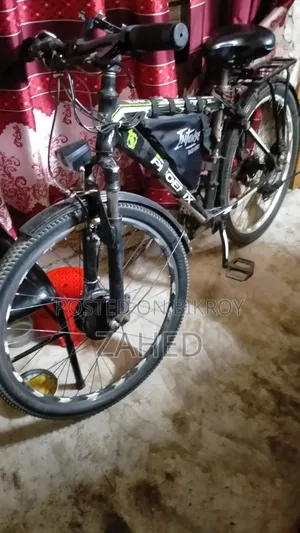 Electric Bicycle