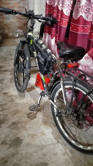 Electric Bicycle
