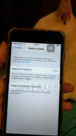 Apple iPhone 6 Plus 16 GB Gray