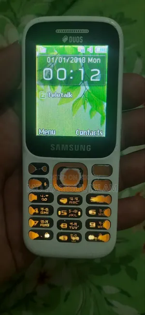 Samsung Guru Music 2 White