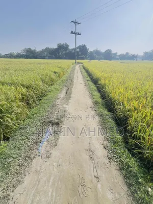 Land for sale, interested buyers contact this number soon
