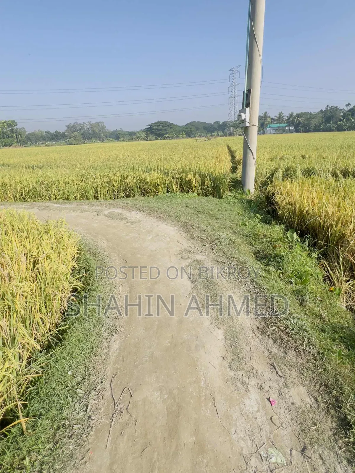 Land for sale, interested buyers contact this number soon