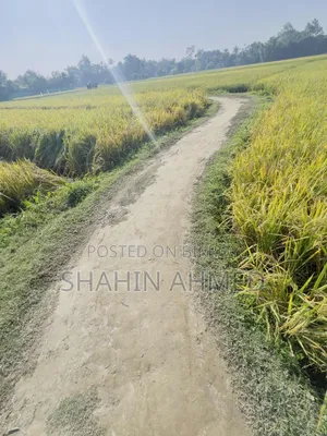Land for sale, interested buyers contact this number soon