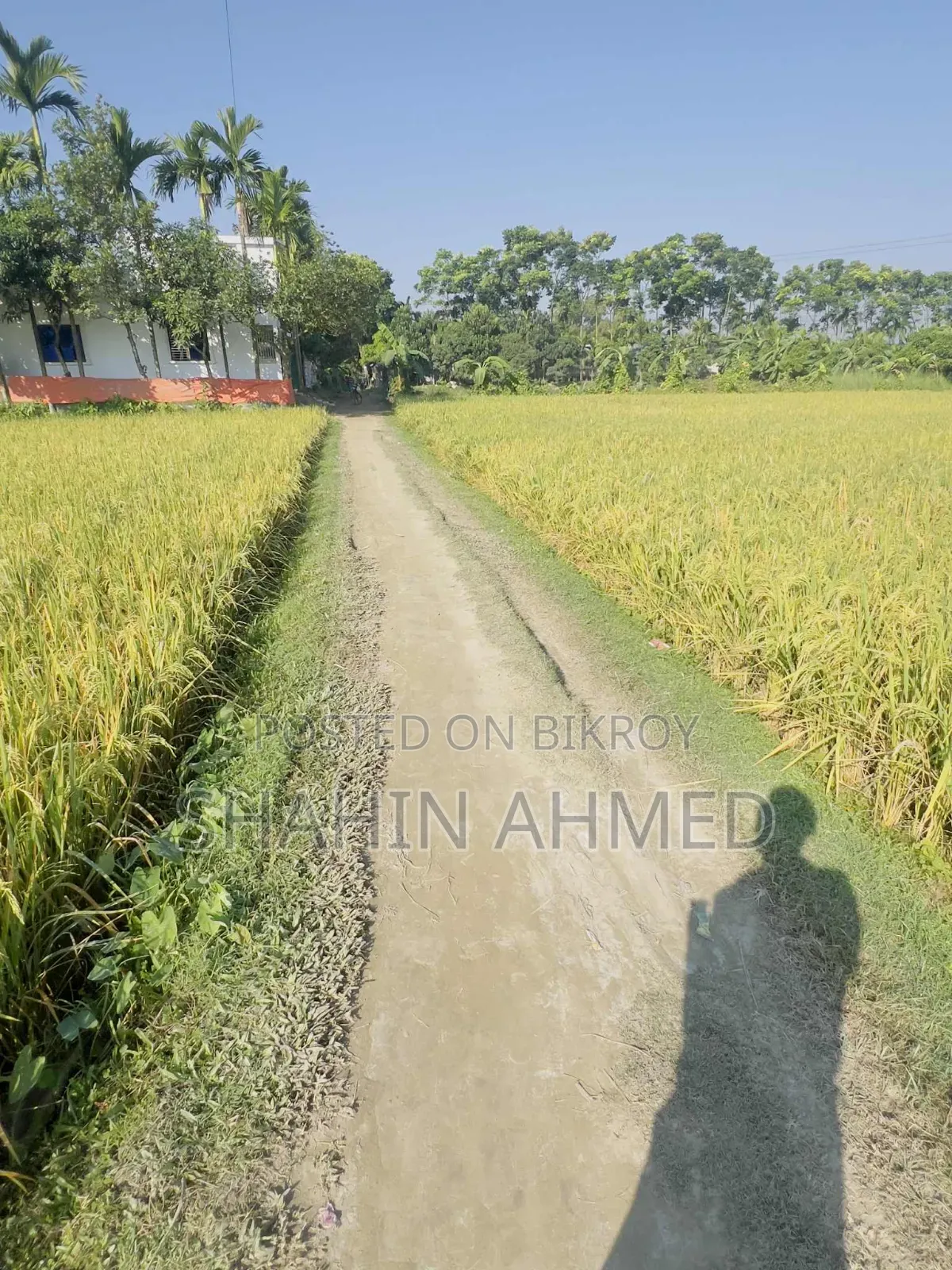 Land for sale, interested buyers contact this number soon