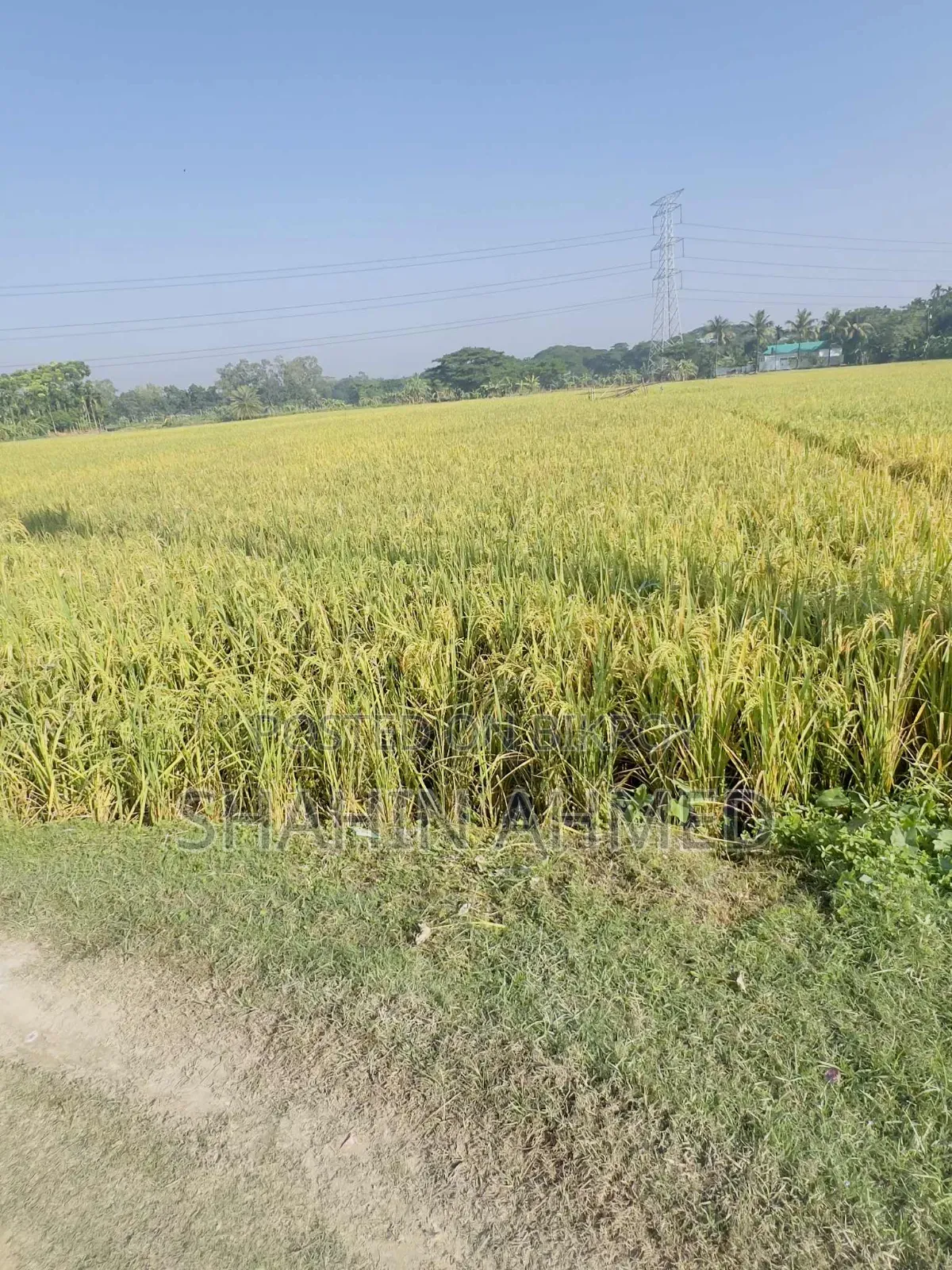 Land for sale, interested buyers contact this number soon