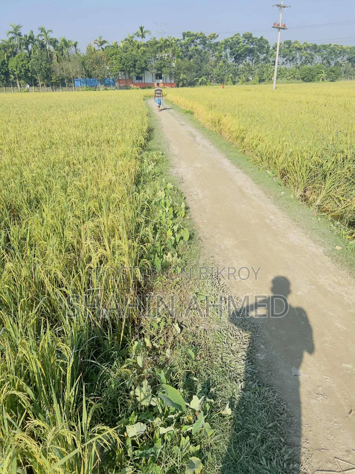Land for sale, interested buyers contact this number soon