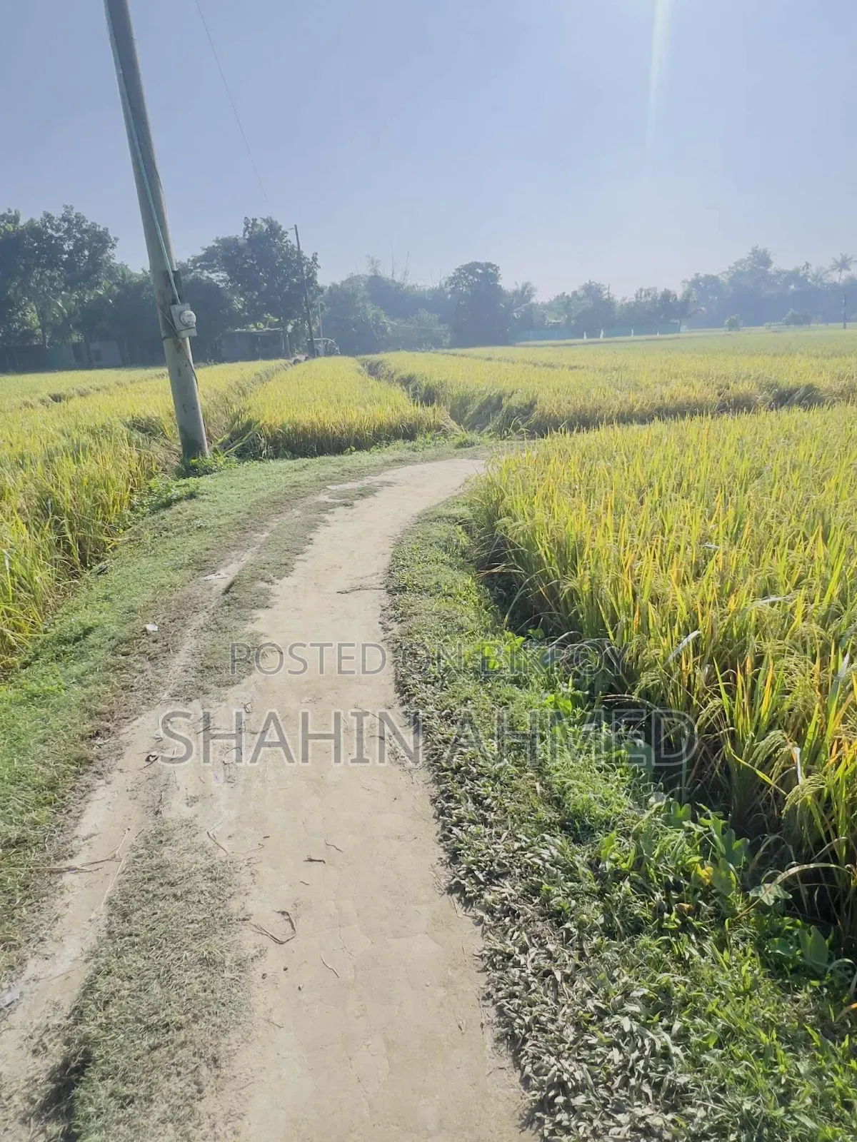 Land for sale, interested buyers contact this number soon