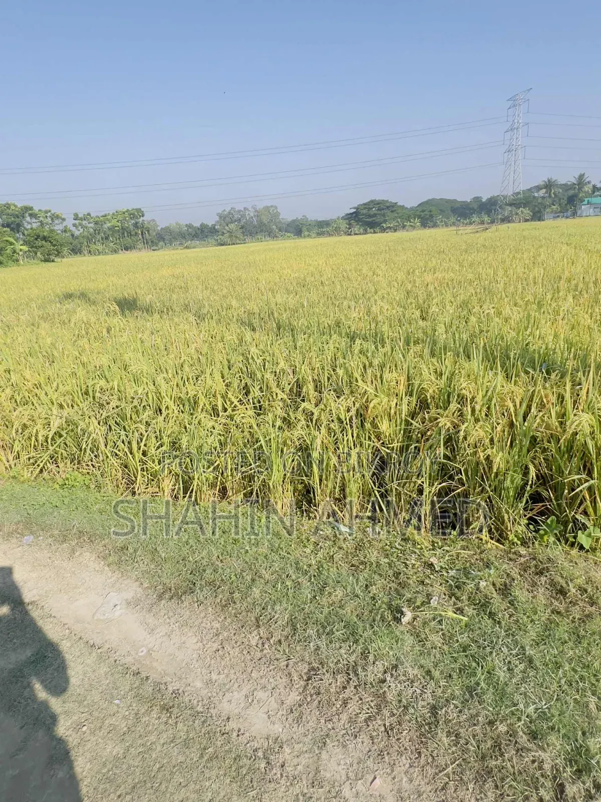 Land for sale, interested buyers contact this number soon