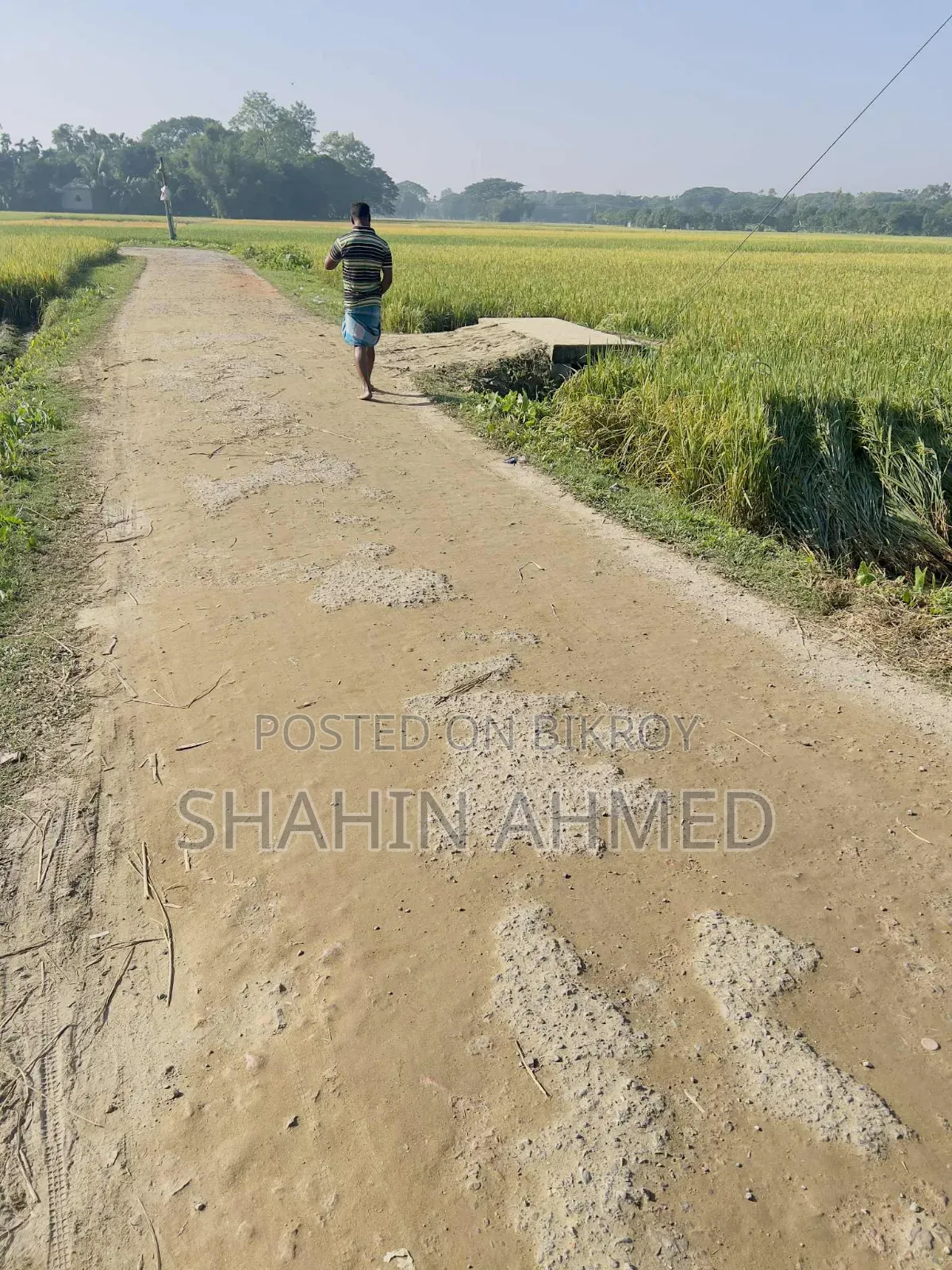 Land for sale, interested buyers contact this number soon
