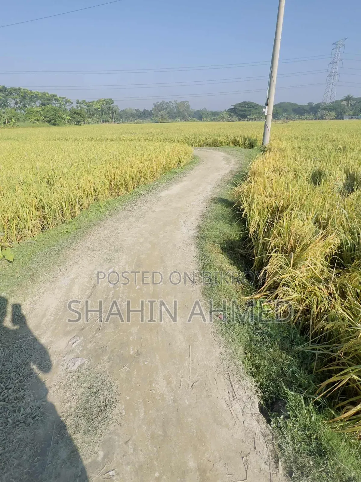 Land for sale, interested buyers contact this number soon
