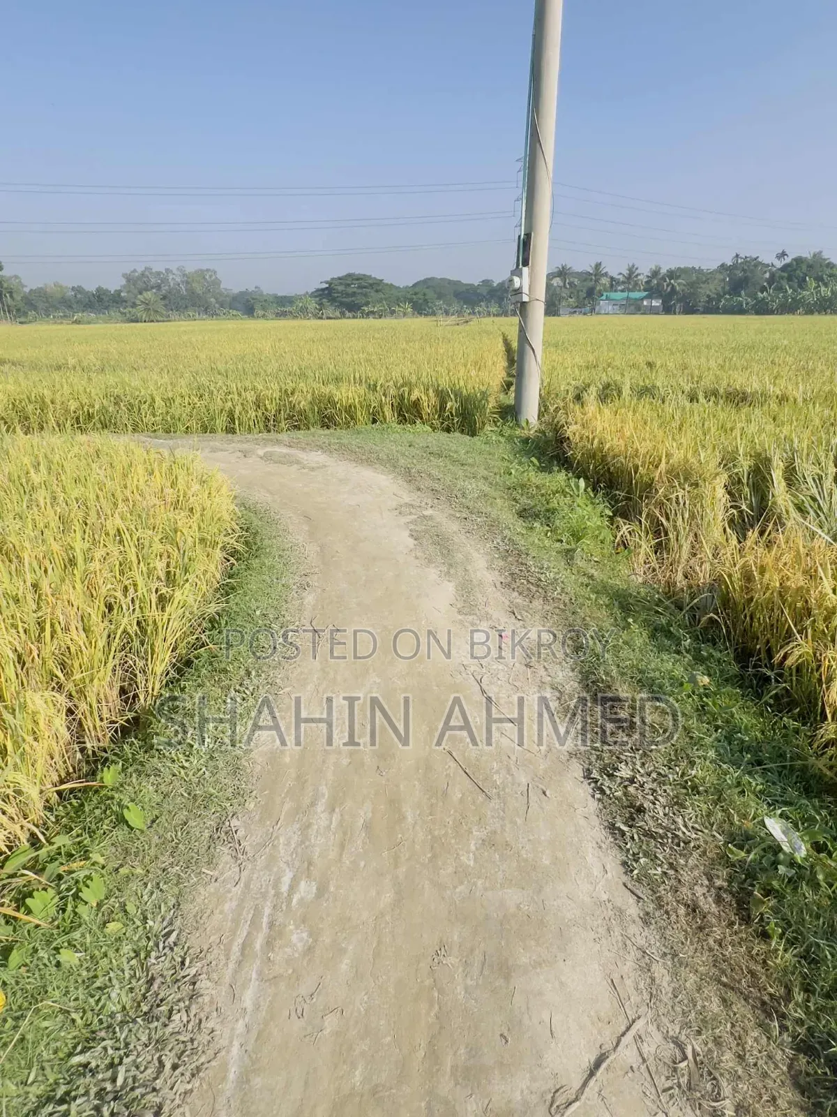 Land for sale, interested buyers contact this number soon