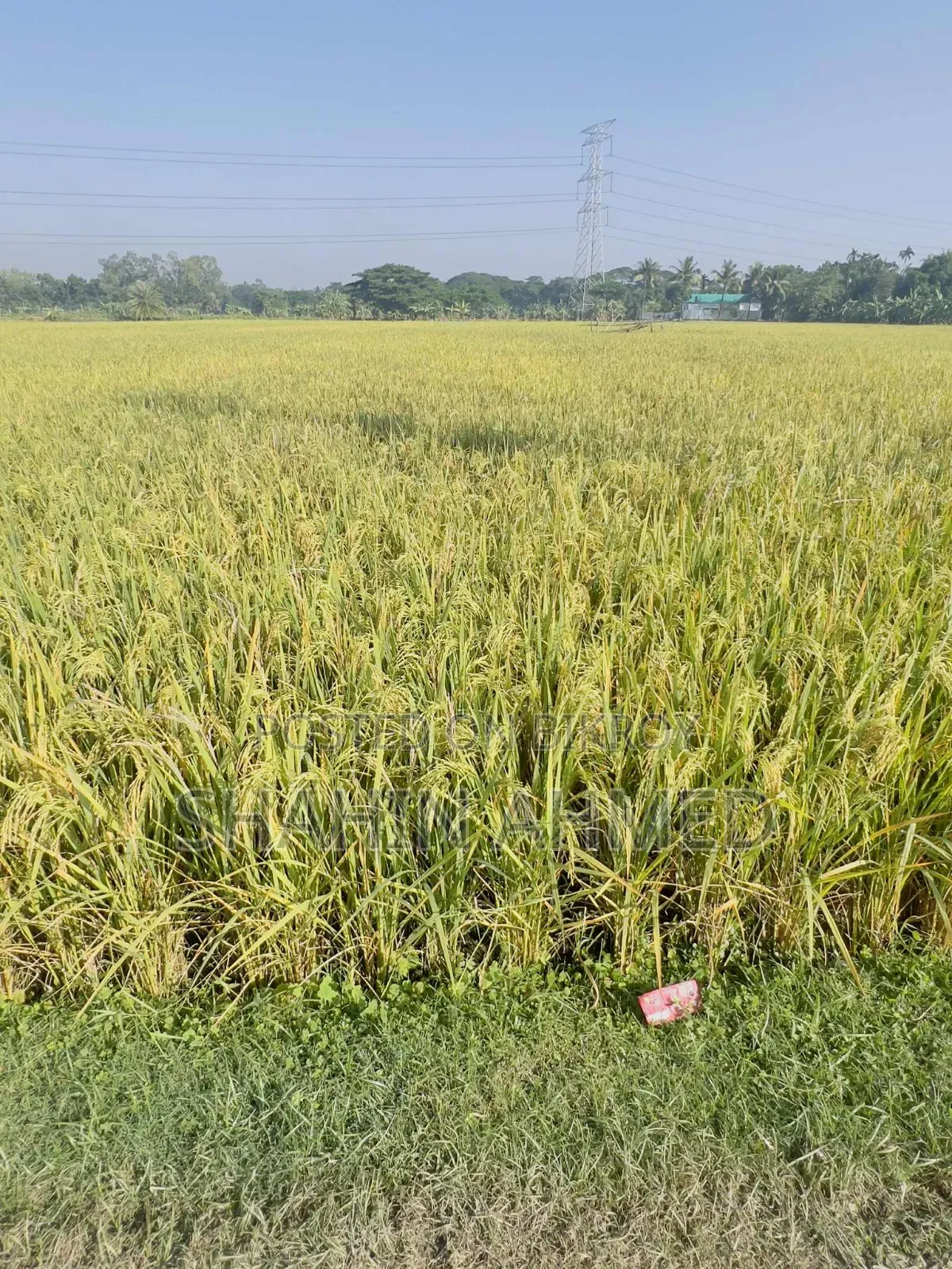 Land for sale, interested buyers contact this number soon