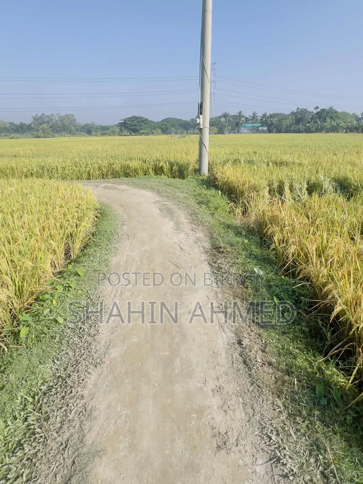 Land for sale, interested buyers contact this number soon