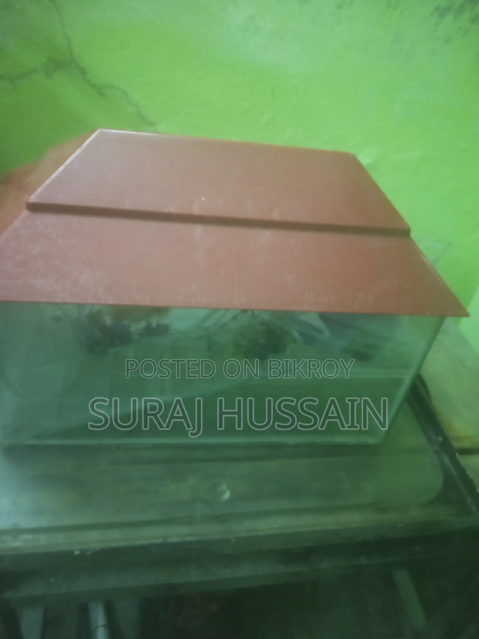 ফিশ অ্যাকোয়ারিয়াম