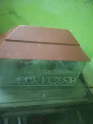 ফিশ অ্যাকোয়ারিয়াম