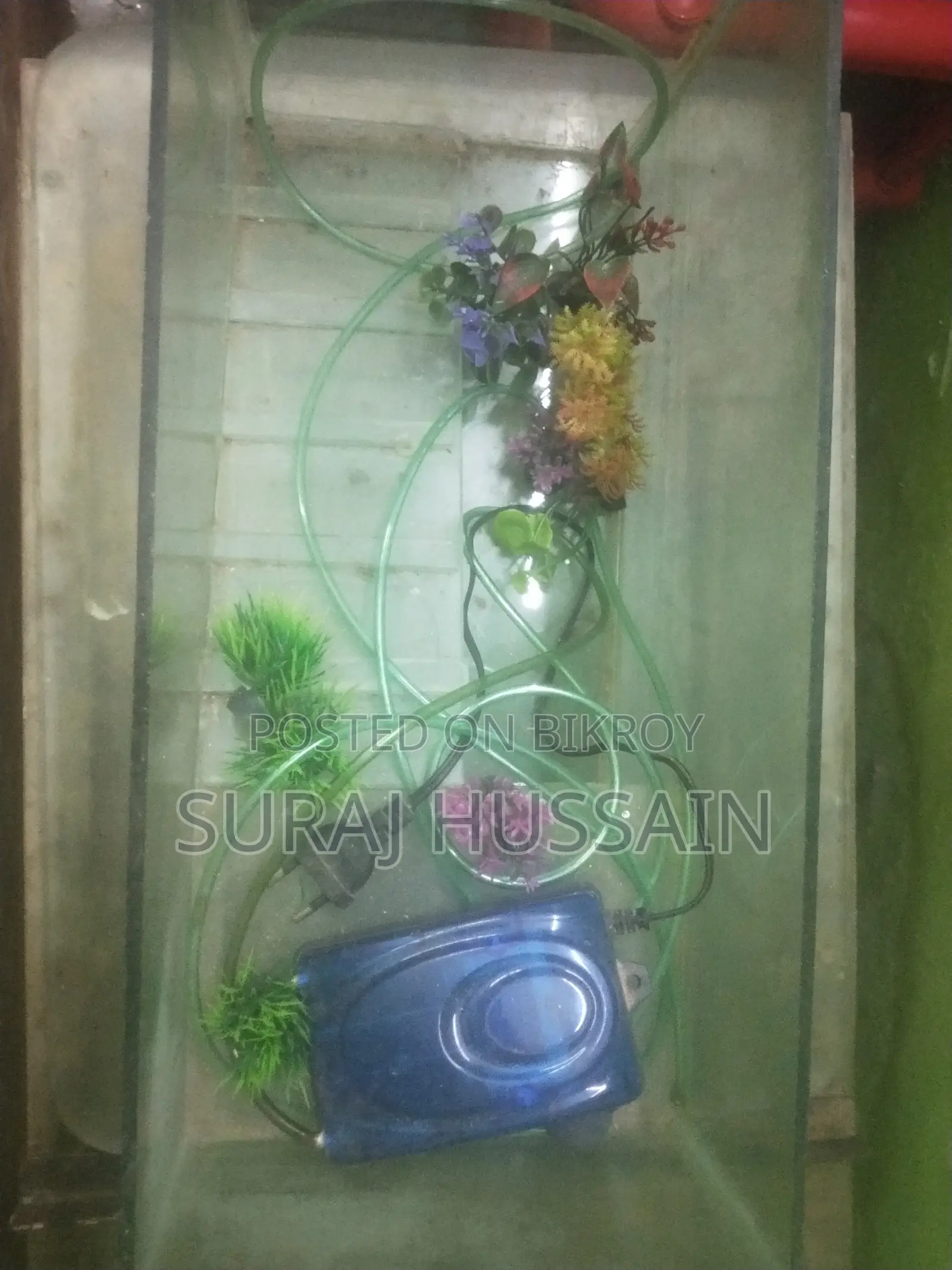 ফিশ অ্যাকোয়ারিয়াম