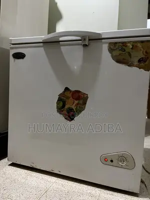 ডিপ ফ্রিজার ১৬০ লিটার