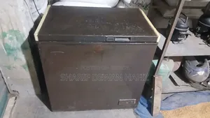 160 L Deep Fridge