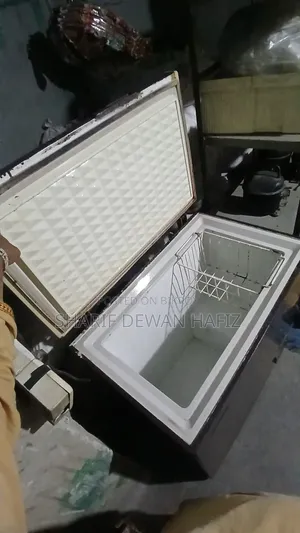 160 L Deep Fridge
