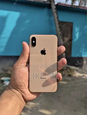 অ্যাপল আইফোন এক্সএস ২৫৬ জিবি রোজ গোল্ড