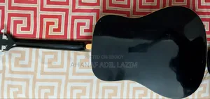 Acoustic Guitar