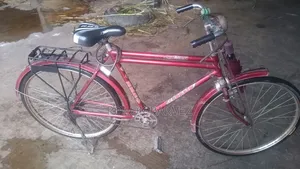 Bicycle Red Color
