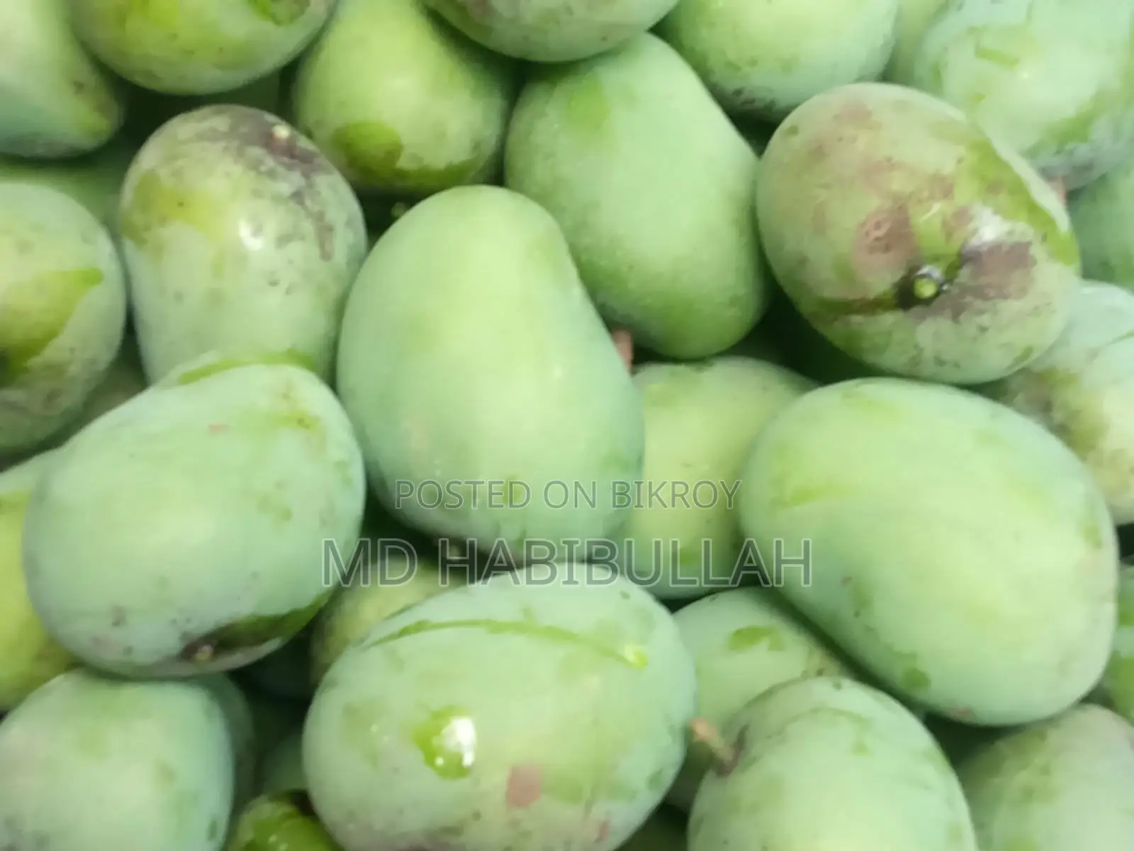Get Fresh Raw Mangoes Now