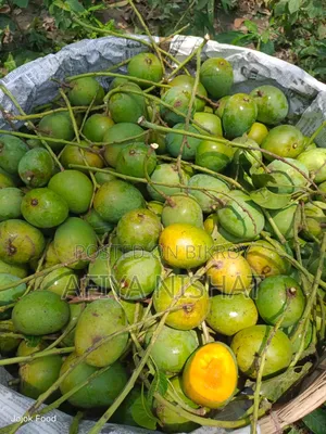 হিমসাগর আম