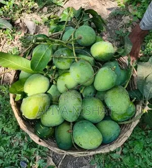 হিমসাগর আম