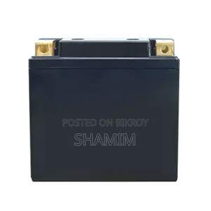 Lithium Phosphate Battery 12