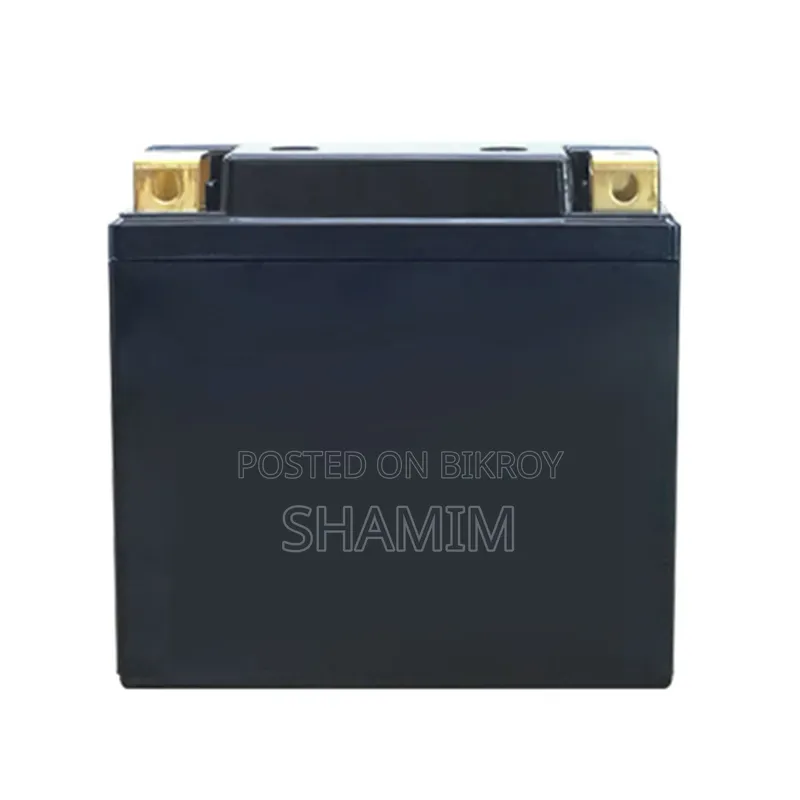 Lithium Phosphate Battery 12V
