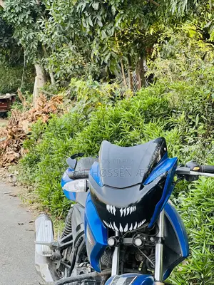 TVS Apache RTR 160 2V 2020 Blue
