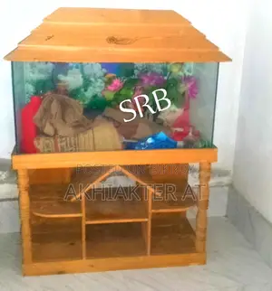 একুরিয়াম বিক্রিহবে সেগুন কাডের ঈদ অফার ১১০০০