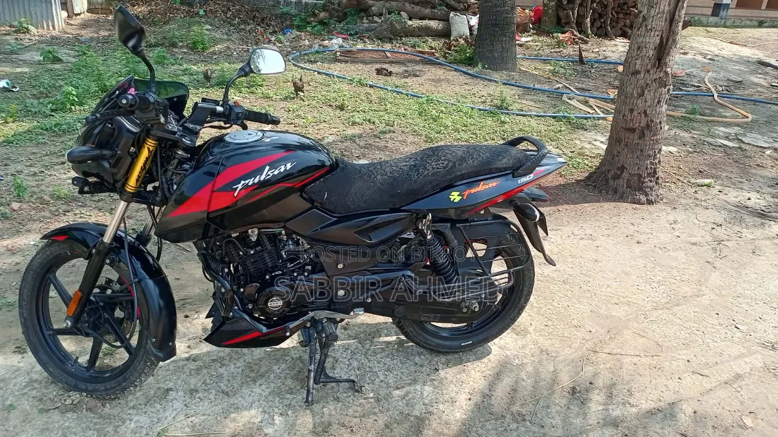 Bajaj Pulsar 150 2024 Black