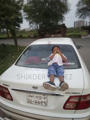 Nissan Sunny 2003 Pearl