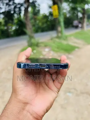 Apple iPhone 13 Pro Max 256 GB Blue